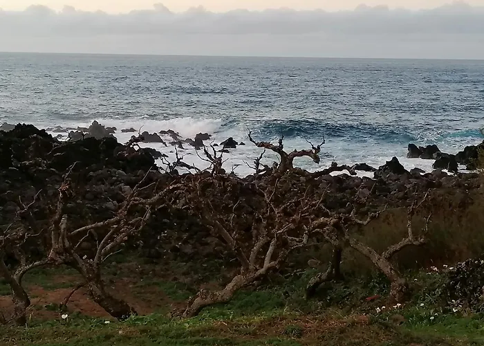 A Casa Da Formosinha