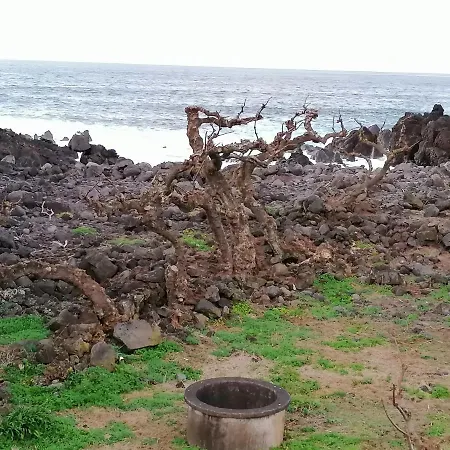 Hébergement de vacances A Casa Da Formosinha Madalena (Azores)