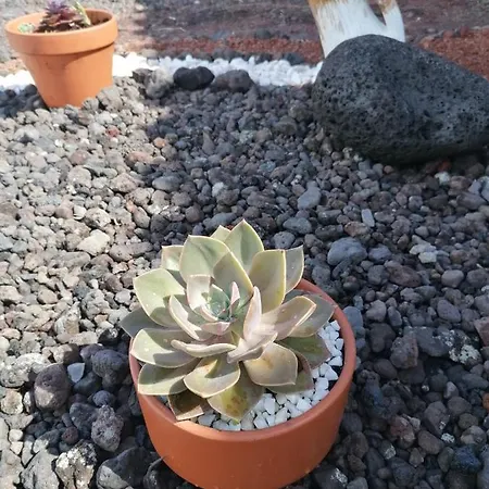 A Casa Da Formosinha