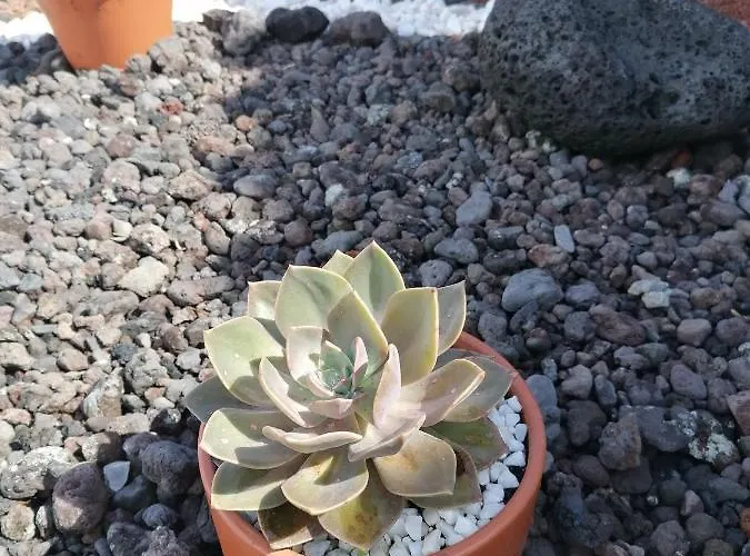 A Casa Da Formosinha